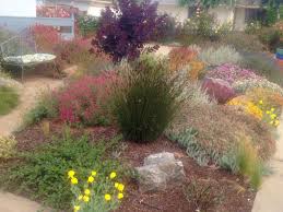 Maybe you would like to learn more about one of these? The Mediterranean Mound Garden Sierra Azul