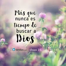 Dios Esta Donde No Lo Has Buscado Esta En Tu Casa En Tus Hijos En Tu Trabajo En To Palabra De Vida Frases Del Amor De Dios Frases Cristianas De Inspiracion
