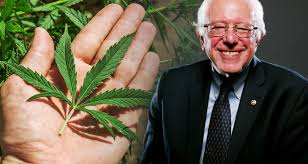 Resultado de imagen de Legalization