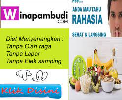 Cara diet with senja bagi pemula : 5 Pola Makan Sehat Untuk Diet Winapambudi