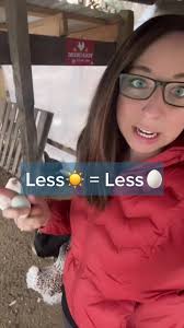 Reply to @stephen_viljoen less light =less eggs. There are other reasons  too! #chickeneggs #cagefree #cagefreeeggs #freerange