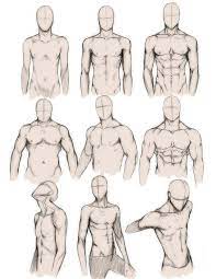 Use this as an art reference or confidence boost or whatever you like!for the level of chubbiness it should also be noted that nearly all of the following. Male Torso Drawing Reference And Sketches For Artists