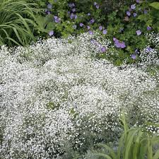 Pin Auf Wohnen Garten