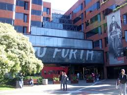 Image result for Sutera levis