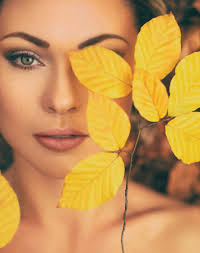 Hinsdale Living, August 2025 by JWC Media