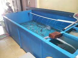 Kolam terpal adalah sebuah inovasi media karantina ikan koi terbaru yang kini sedang ramai dibicarakan dan diaplikasikan oleh para pemilik ikan koi di indonesia. Bak Fiber Budidaya Ikan Koi Ukuran Beragam Harga Terjangkau