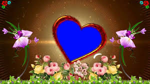 Hd Wedding Background Video Loop Free Downloads Youtube