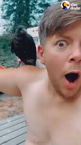 Just thought this was amazing