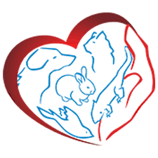 View union lake veterinary hospital, inc's latest news on prlog, with news from 340,000 organizations. Union Lake Veterinary Hospital Waterford Mi 48327 Vet
