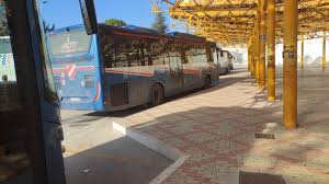 Fermate del trasporto pubblico in Molise: «il lato oscuro di un sistema  clientelare» - TermoliOnLine.it