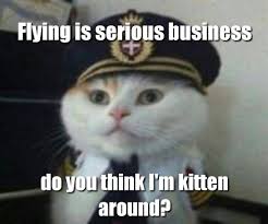 images?q=tbn:ANd9GcSvlsjaS6IJktzdmWbbpGSuM8yYo6p-2MNoWApQXAIPyZteAYxR