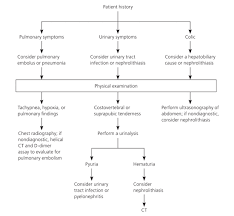 Evaluation Of Acute Abdominal Pain In Adults American Family Physician