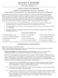 cfo treasure executive vp resume sample