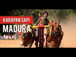 Maybe you would like to learn more about one of these? Kerraban Sape Versi Original Lagu Daerah Madura Jawa Timur Indonesia Youtube