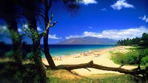 The best collection of high resolution backgrounds and textures, patterns. High Quality Background Images Wallpaper Cave