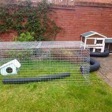 Free shipping on orders over $25 shipped by amazon. The Ideal Home For Your Guinea Pigs Pdsa