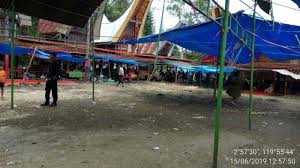 Wisata perkampungan adat serta kuburan ada banyak ke'te' kesu, penanian nanggala, palawa, marante. Berantas Judi Sabung Ayam Ini Dilakukan Polsek Tondon Nanggala Toraja Tribun Timur