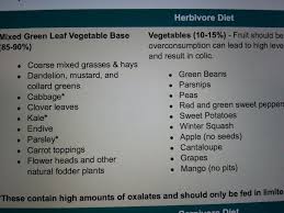 tortoise diet foods tortoise food sulcata tortoise