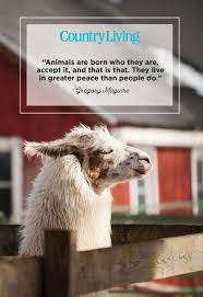 57 Famous Quotes About Life Short Inspirational Sayings