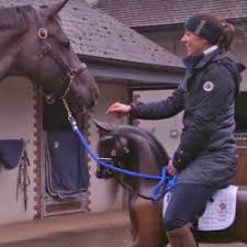 Dean golding machte charlotte dujardin einen heiratsantrag. Valegro Eventing Nation Three Day Eventing News Results Videos And Commentary