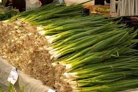 You can plant green onions from seeds in spring to grow many more plants! How To Grow Green Onions And Scallions From Seed Bountiful Gardener