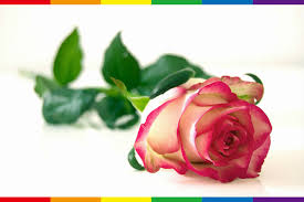 Welcome to xiao77,best wishes for every day! å¾žçŽ«ç'°å°'å¹´è'‰æ°¸é‹•çœ‹å¤šå…ƒæ€§åˆ¥æ•™è‚²çš„é‡è¦æ€§ Lgbtq Tw å°ç£é…·å®¶