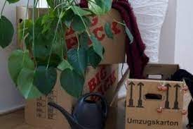 Es ginge daraus nicht konkret hervor, welche person die wohnung aus welchem grund nutzen solle. Kundigung Wegen Eigenbedarf Umzugskosten Erstattung Moglich