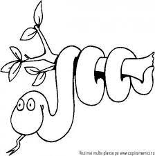 Sunt in total 30 de planse de colorat cu animale serpi. Animale Serpi Desene De Colorat 07 Planse De Colorat Gratuite Pentru Copii