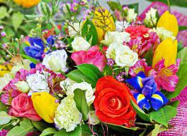 Free jigsaw puzzles online full screen. Free Jigsaw Puzzles Jigsaw Puzzle Games At Thejigsawpuzzles Com Play Free Online Jigsaw Puzzles Bunch Of Flowers Puzzle Of The Day Jigsaw Puzzles