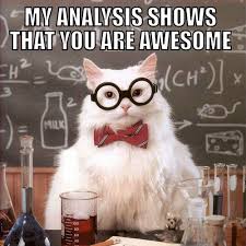 20 Encouragement Memes That Will Surely Lift Your Spirits Sayingimages Com Best Short Quotes Encouragement Meme Motivational Memes