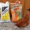 Why are dust baths so beneficial? 3