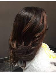 Warm Caramel Tones On A Level 4 Hair Warm Hair Color Warm Hair Hair Level