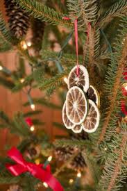 Traditional Victorian Christmas Decorations Made Of Preserved Orange Slides On The Tree At Standen West Sussex Christmas Victorian Christmas Decorations Christmas Decorations Victorian Christmas Tree