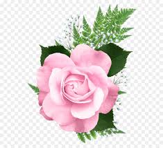 Are you searching for bunga png images or vector? Gambar Bunga Pink Png Gambar Ngetrend Dan Viral