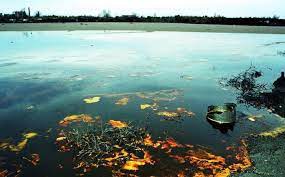 Спиннинговое удилище black hole one's комплектуются полужёстким тубусом из кожзама! Slurry Lake Dzerzhinsk White Sea Opinion Of Residents Of Gorbatovka And Igumnovo Villages