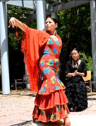 Image result for eustoma flamenco