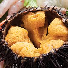 Maybe you would like to learn more about one of these? Bulu Babi Laut Beku Berkualitas Siap Untuk Ekspor Buy Sea Urchin Cloves Exporters In Zanzibar Apple For Export Countries Product On Alibaba Com