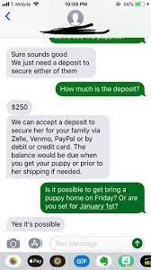 Is It Common To Ask For Deposits For A Puppy She Also Mentioned A Sales Contract After Getting The Deposit Craigslist