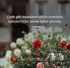 Kirmayin Masum Kalplerii Guzel Soz Ozlu Sozler Kutsal Kitaplar