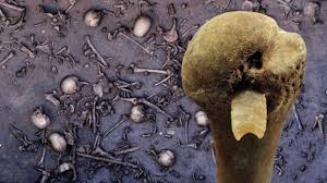 The Battle of Tollense Valley is a significant archaeological discovery  that sheds light on prehistoric warfare in Europe. Taking place around  3,250 years ago in what is now northeastern Germany, the battle