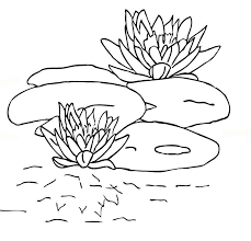 Use the download button to view the full image of lilly pad coloring page printable, and download it for your computer. Free Printable Lily Pad Coloring Pages For Kids Coloring Home