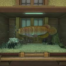 Book of ffxiv guide european data centers are coming! Kirito Bladerunner Blog Entry All Freshwater Aquarium Fish Preview 5 5 Final Fantasy Xiv The Lodestone