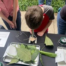 Matthaei Botanical Gardens and Nichols Arboretum