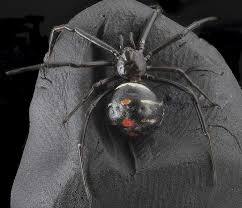 #work adventures #spiders #black widow spider #they're beautiful and i'd rather not kill them #but they're also venomous and i have coworkers to the black widow is known as being a deadly spider, but the truth is that less than 1% of bites actually result in death. Hd Wallpaper Black And Red Plastic Spider Halloween Decor Black Widow Spider Wallpaper Flare