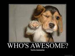 Man who works from home keeps naming his dog 'employee of the month' by julia banim january 2, 2019 3 min read accuride empicyse of the quaer accuride eny of the. Celebrating A Work Anniversary With Kudoboard Kudoboard Blog