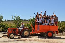 Spectacular Snail Farm Tour Review Of Portugal Farm Experiences Lisbon Portugal Tripadvisor