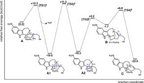 Image result for Paropsia brazzeana