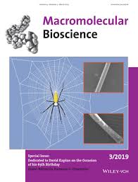 What's the malay translation of volume? Role Of Skin Layers On Mechanical Properties And Supercontraction Of Spider Dragline Silk Fiber Yazawa 2019 Macromolecular Bioscience Wiley Online Library