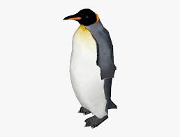 Penguin printouts printouts on these flightless birds from the southern hemisphere. Bird Penguin Flightless Bird Vertebrate Emperor Penguin King King Penguin Emperor Penguin Png Transparent Png Transparent Png Image Pngitem
