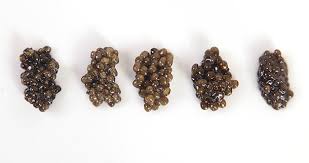 You'll see that the caviar price per pound differs remarkably. Serious Eats Guide How To Buy Caviar